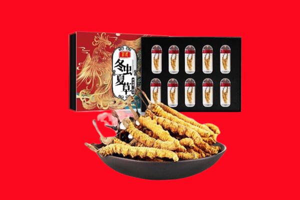 锦江区回收虫草